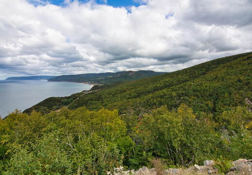 DSC 0094